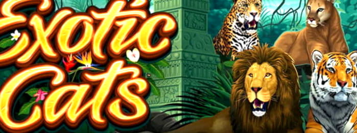 ユーロ 450 Bet Rebels カジノでの無料チップ